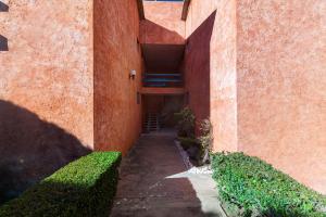 +MS +Suite Placentera +Alberca Área verde Quintana 13A