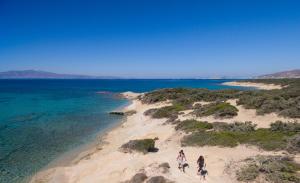 Finikas Hotel Naxos Greece