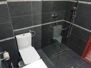 Pensiunea Casa Butnarului