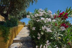 The Stone House! Alonissos Greece