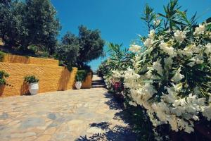 The Stone House! Alonissos Greece