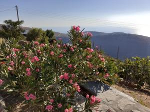 Katoikia Spathi Kea Greece