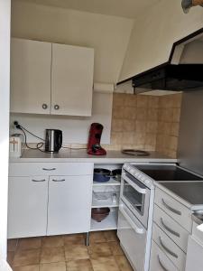 La Petite Seigneurette1