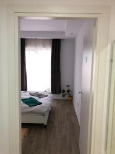 Dora High Life - North