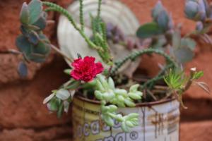 Casa dos Arcos Hospedaria