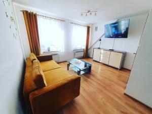 Apartament Sprężynka