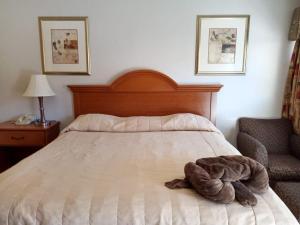 HOTEL POSADA DEL DESIERTO