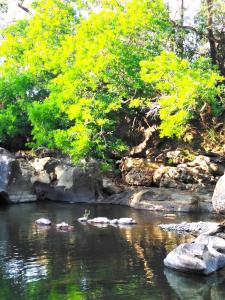 The Blue House Panama