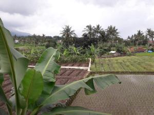 Homestay Ayuning Kuningan