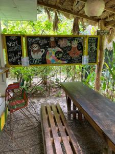 Playa 506 Beachfront Hostel