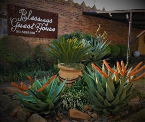 Blessings Guesthouse