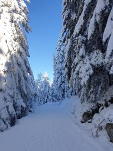 Apartement sur les hauteurs de Gerardmer avec une SUPERBE VUE