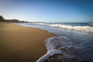 Sandcastles 1770 Motel & Resort