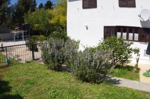 Holiday Apartment Jasna