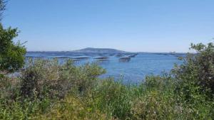 Maisons de vacances Romantic Maison de Pecheur sparkling sea views : photos des chambres