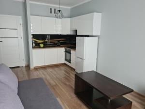 Apartament Kameralny