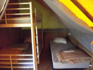 Campings Camping le Nid du Parc : photos des chambres