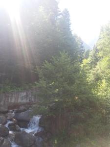 Apartament La poteca ursului