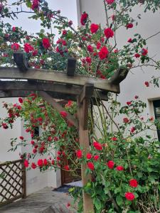 Maisons de vacances Villa Fleur de Lys au Puy du Fou - StayinVendee : photos des chambres