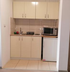 Studio apartman Vasić