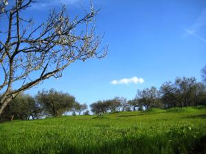 Villa Colle di Rocco