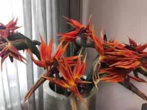 Apartment The Orchid