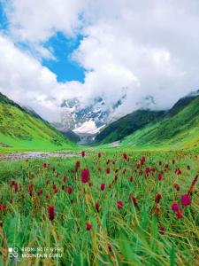 Hotel Himalayan Dews Ukhimath