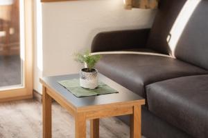 Hotel Appartement Platzergasse