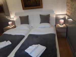 B&B / Chambres d'hotes Les Buissonnets : photos des chambres