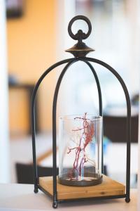 Lu' Hotel Riviera - Carloforte img19