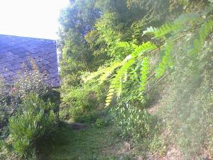 Maisons de vacances A flanc de colline : photos des chambres