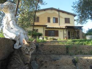 Agriturismo La Svolta