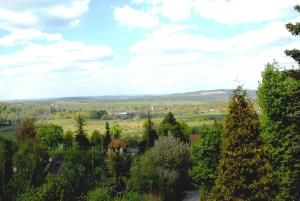 Double Room room in Pokoje Gościnne Wysoka