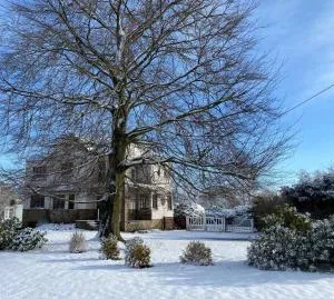 Le pas du loup - 乌伊埃