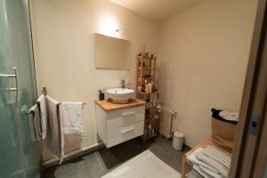 Entire Apartment (60m2) in the Center of Paris