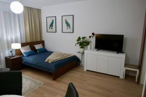 Studio nr 1 close to Medicover and Paley Institute