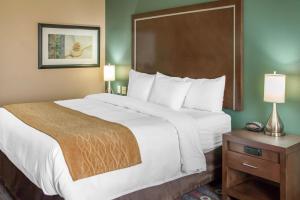 King Room - Accessible/Non-Smoking room in Comfort Inn & Suites San Marcos