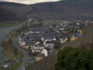 Kappes-Koppelkamm