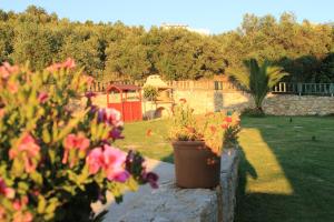 Villas Almyrida Chania Greece