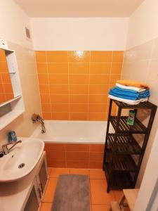 Apartmán Staré Hamry