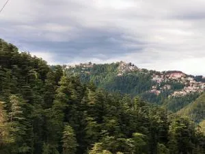 Neha Homestay - Šimla