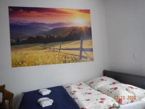 Apartament Providentia Zakopane Witkiewicza 3