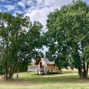 Lodges Shanti Lac Cabanes gites insolites et espace bien-etre Bordeaux : photos des chambres