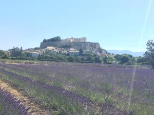 Maisons d'hotes Le Clos de la Tuiliere : photos des chambres