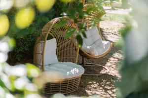 Maisons de vacances Les Hauts de Manse : photos des chambres