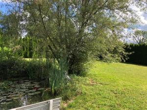 Maisons de vacances Maison/Gite familial dans le Jura a 200m du lac avec piscine privee : photos des chambres