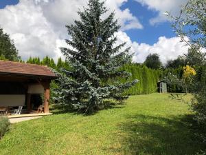 Maisons de vacances Maison/Gite familial dans le Jura a 200m du lac avec piscine privee : photos des chambres