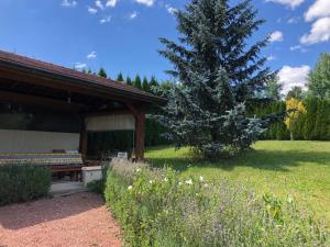 Maisons de vacances Maison/Gite familial dans le Jura a 200m du lac avec piscine privee : Maison 4 Chambres