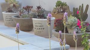 Triplex con terraza única a 50 mts del mar