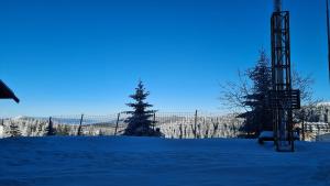 Apartman No1,Župa Wellness & Spa Kopaonik